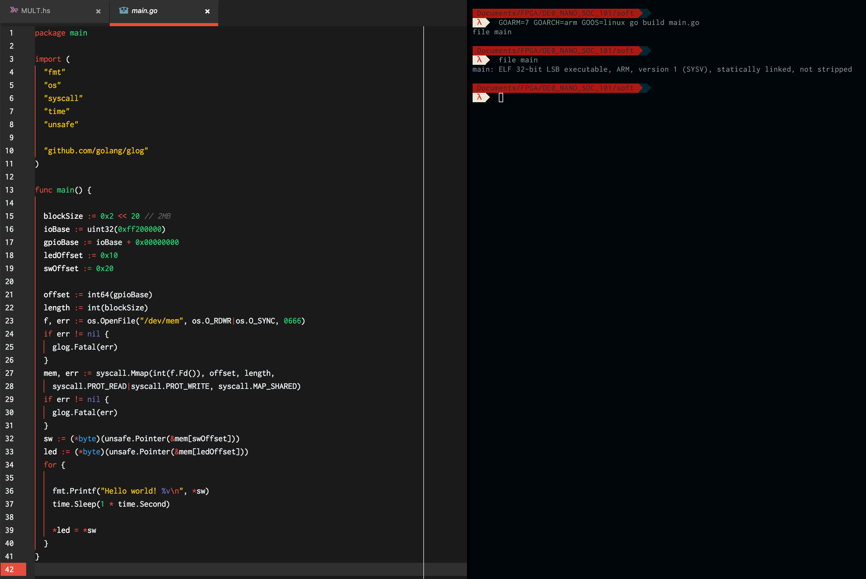 Access from the processors (in Go)